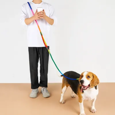 Hands-Free Rainbow Reflective Dog Leash Walking Scene Pet owner using colorful reflective hands-free dog leash with beagle dog indoors
