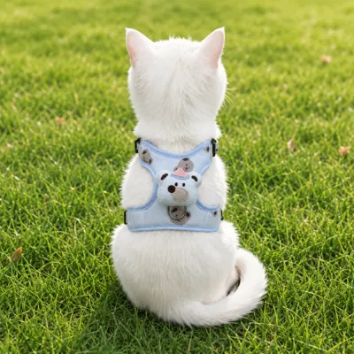 Blue Cute Bear Cat Harness for Outdoor Walking White cat wearing blue adjustable pet harness sitting on green grass