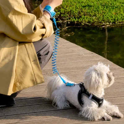 Small white dog using reflective anti-escape adjustable leash outdoors near lake