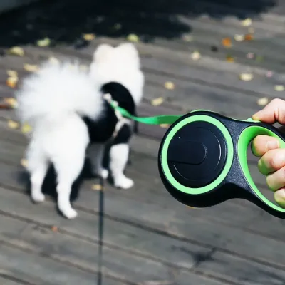 Pet owner using green retractable dog leash while walking dog outdoors on wooden pathway