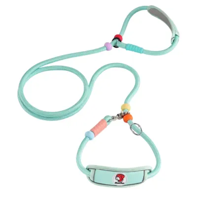 Mint Green Adjustable Anti-Choke Dog Slip Lead Mint green anti-choke adjustable dog slip lead leash with padded neck support and alloy clip