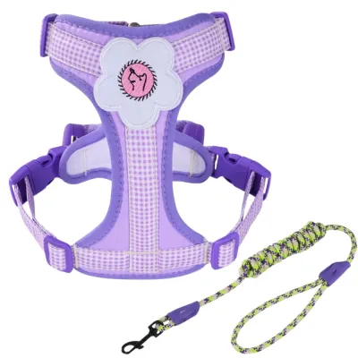 Purple adjustable dog harness with floral patch and matching rope leash
