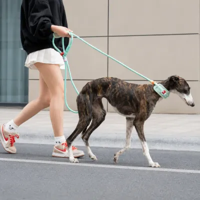 Reflective Anti-Choke Dog Leash Outdoor Walking Scene Woman walking a large dog outdoors using reflective anti-choke dog leash