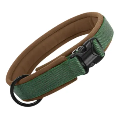 Reflective Nylon Padded Dog Collar for Medium Large Dogs Green reflective nylon padded dog collar with quick release buckle and soft inner lining for medium and large dogs