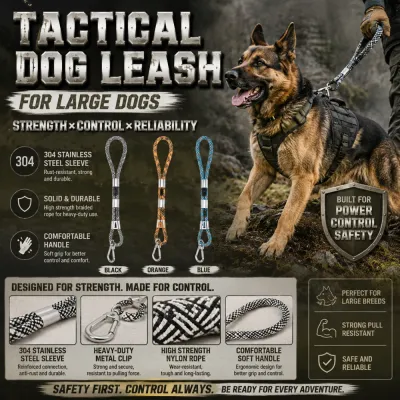 Large German Shepherd wearing a tactical leash during outdoor training and walking