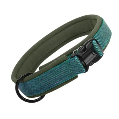 Blue Reflective Padded Nylon Dog Collar Blue reflective nylon dog collar with adjustable buckle soft padded lining and metal D ring
