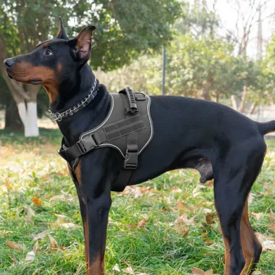 Tactical Dog Harness on Large Working Dog Large dog wearing a black tactical dog harness outdoors in a park