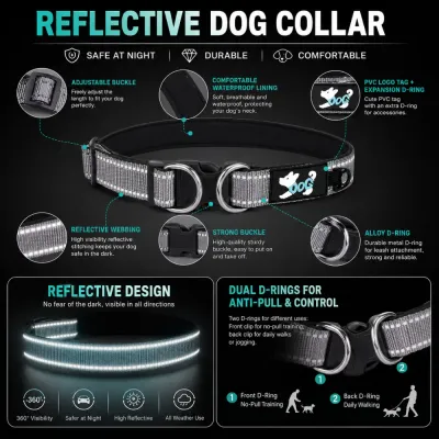 Reflective Waterproof Dog Collar Features and Benefits Reflective dog collar with waterproof lining, alloy D-ring, adjustable buckle, and safety design