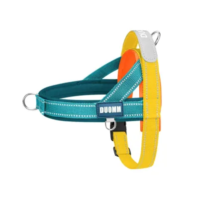Lake Blue reflective T-shaped dog harness with adjustable straps, soft padding and reinforced buckle for small dogs