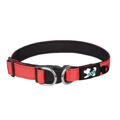 Reflective Waterproof Dog Collar with Dual D-Rings Red reflective waterproof dog collar with adjustable buckle and dual D-rings for daily walking