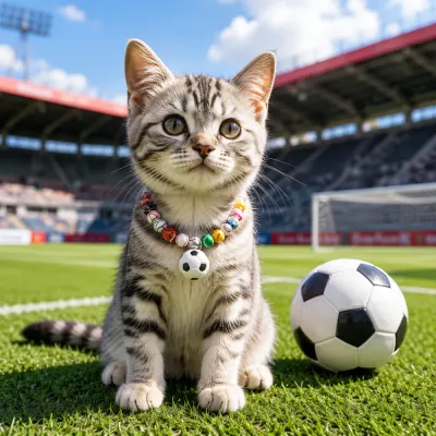 Cute cat wearing colorful sports ball necklace with soccer pendant on a football field