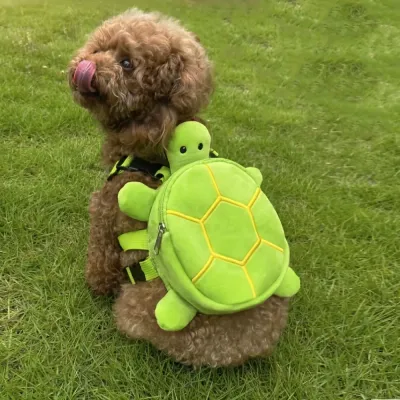 Small dog wearing a green turtle backpack harness while sitting on grass outdoors