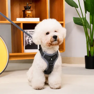 Grey Adjustable Dog Harness on Small Dog Small white dog wearing a grey breathable adjustable dog harness indoors