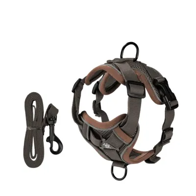 Wholesale Breathable Dog Harness and Leash Set Coffee Color Coffee color breathable dog harness and leash set with adjustable straps and dual D-rings for small and medium dogs