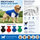 Large dog wearing breathable mesh shirt with cooling fabric and lightweight design