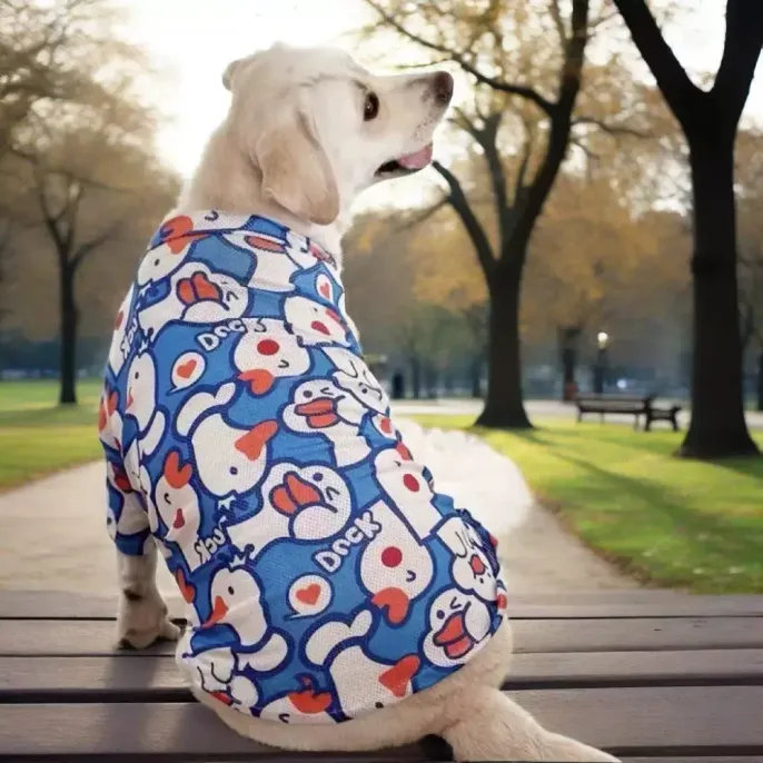 Large dog wearing blue mesh dog shirt sitting outdoors in a park