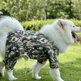 Large Dog Wearing Camouflage Summer Mesh Suit Samoyed wearing camouflage mesh cooling suit during outdoor summer activity