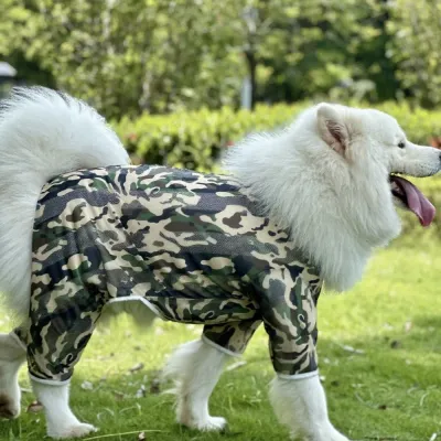 Large Dog Wearing Camouflage Summer Mesh Suit Samoyed wearing camouflage mesh cooling suit during outdoor summer activity