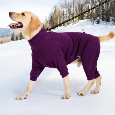 Large Dog Wearing Purple Winter Hoodie Outdoors Large dog wearing a purple high-neck four-leg winter hoodie while walking in snowy weather