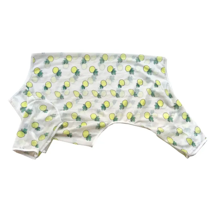 Lemon print summer cooling mesh vest for large breed dogs with lightweight breathable fabric