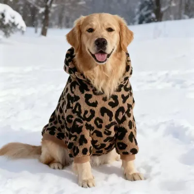 Golden Retriever wearing a leopard print winter dog hoodie in snowy outdoor conditions