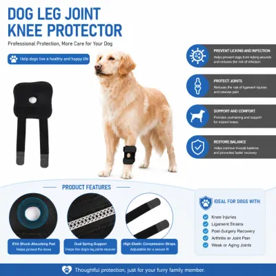 Dog leg joint protector with EVA padding and compression support straps