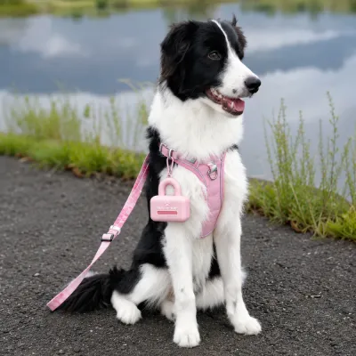 Lightweight and durable dog walking accessory designed for quick waste bag access outdoors. Dog harness attached with pink silicone poop bag dispenser during outdoor walk