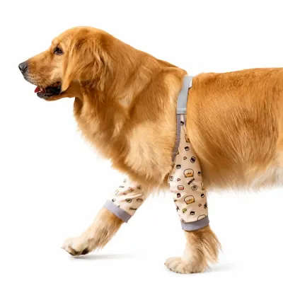 Dog Elbow Protector Sleeve for Large Dogs Golden Retriever wearing a dog elbow protector sleeve for joint support and injury recovery