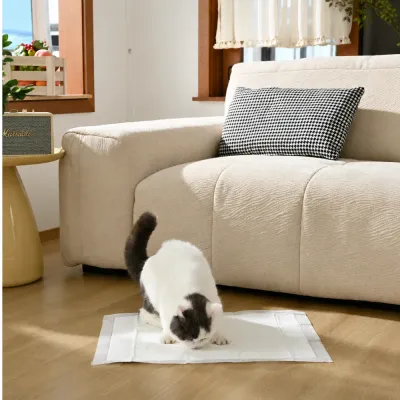 Cat Using Pheromone Calming Training Pad at Home Sensitive cat using a pheromone calming training pad indoors near a sofa in a comfortable home environment