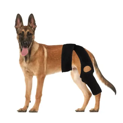 Adjustable dog joint support brace for ACL injury recovery and leg stabilization