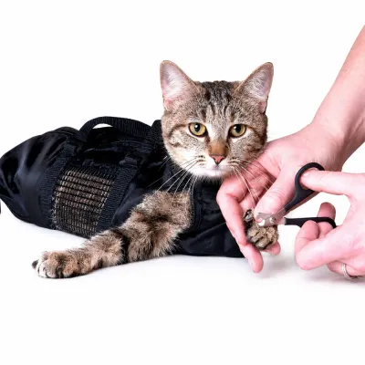 Cat Grooming Bag for Safe Nail Trimming Cat grooming restraint bag used for safe cat nail trimming and grooming care