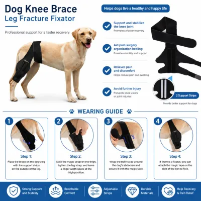 Dog Knee Brace for Joint Support and Fracture Recovery Dog knee brace helping stabilize joints, relieve pain, and support recovery after surgery or injury