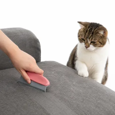 Pet hair remover brush removing cat fur from sofa upholstery with cat watching nearby