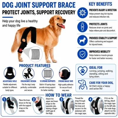 Dog knee brace with spring supports for joint protection, stability, and mobility improvement