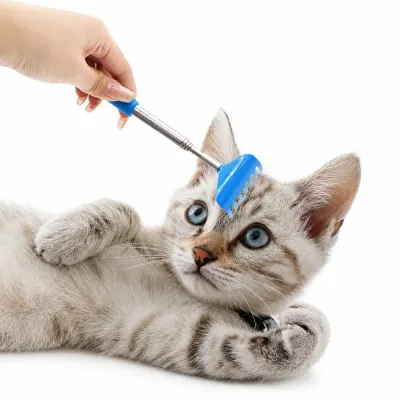 Close-up of a kitten enjoying a retractable cat back scratcher with gentle scratching head