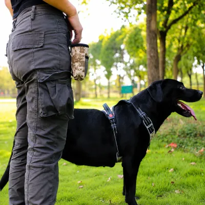 Dog Walking Bag Attached to Belt During Outdoor Walk Dog owner using a portable dog walking bag attached to belt while walking a black Labrador outdoors