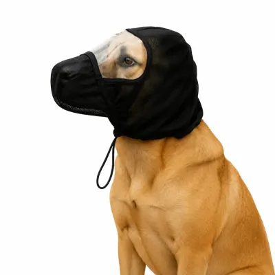 Dog Protective Face Mask for Anti-Licking and Recovery Labrador wearing a breathable dog protective face mask with clear vision window for recovery and outdoor protection