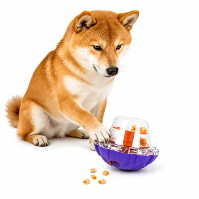 Interactive Dog Puzzle Treat Toy for Slow Feeding Shiba Inu playing with interactive dog puzzle treat toy designed for slow feeding and mental stimulation