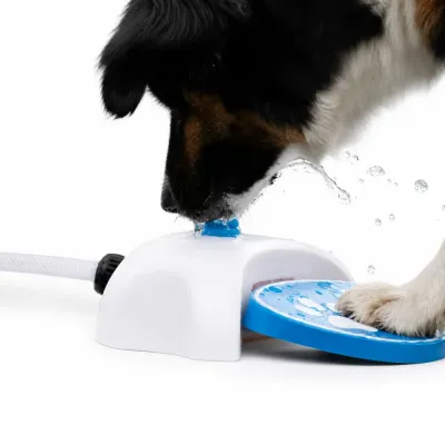 Dog Using Foot Press Automatic Pet Water Fountain Dog drinking from foot press automatic pet water fountain with hands-free water dispensing system