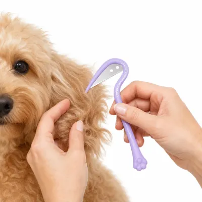 Pet Dematting Knife for Removing Dog Mats and Tangles Close-up of a pet dematting knife removing mats and tangles from a dog's fur during grooming.