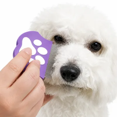 Close-up of a white dog being groomed with a purple fine tooth pet flea comb for tear stain cleaning and flea removal.
