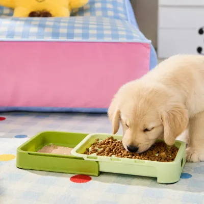Puppy Eating from Slow Feeder Bowl with Wet and Dry Food Golden retriever puppy using a slow feeder bowl with separated compartments for wet food and dry kibble