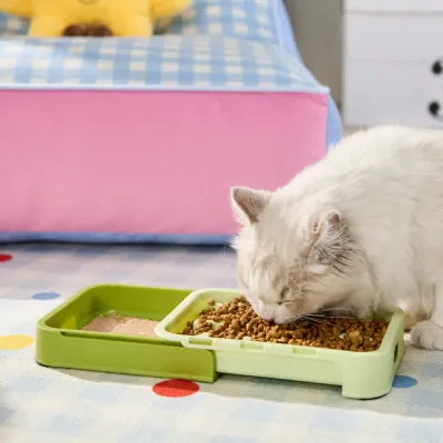 Cat Using Dry & Wet Separation Slow Feeder Bowl Cat eating from a dry and wet separation slow feeder bowl designed to slow feeding and improve digestion