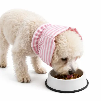 Small dog wearing pink striped pet ear cover protector while eating food from a bowl