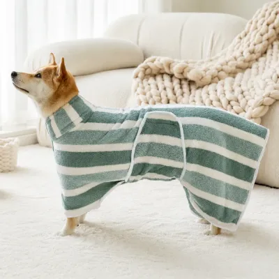 Dog Wearing Microfiber Drying Robe at Home Dog relaxing indoors while wearing a quick-dry microfiber bath robe