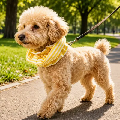 Small dog wearing yellow striped pet ear protector during outdoor activities