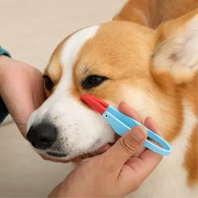 Dog eye cleaning brush removing tear stains and eye discharge with soft silicone bristles