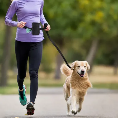 Dog Walking Treat Bag for Daily Training and Exercise Woman walking golden retriever using dog training treat pouch during outdoor exercise