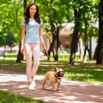 Dog Walking with Portable Poop Bag Dispenser Holder Dog owner walking a dog while carrying a portable poop bag dispenser outdoors