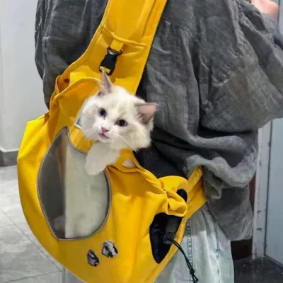 Cat Using Canvas Shoulder Carrier Bag White cat sitting comfortably inside a breathable canvas shoulder carrier bag during travel